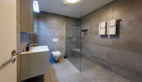 Spiez_Oberlandstr37_2187