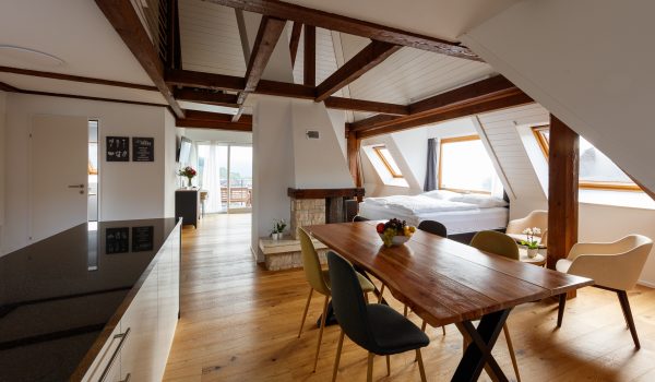 Spiez_Oberlandstr37_2528